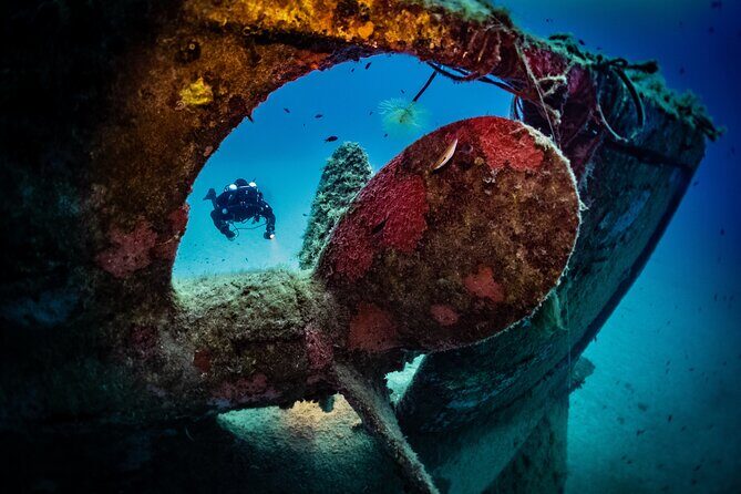 2 Scuba Fun Dives for Certified divers in St Paul's Bay - Key things I’d focus on before you book