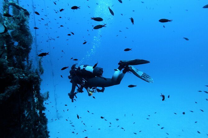 2 Scuba Fun Dives for Certified divers in St Paul's Bay - St Paul’s Bay: why this part of Malta works so well