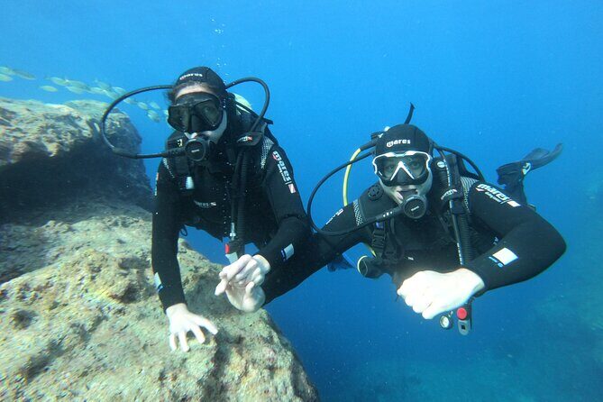 Diving experience in Malta - Price and value: why $132.45 can make sense for first-timers