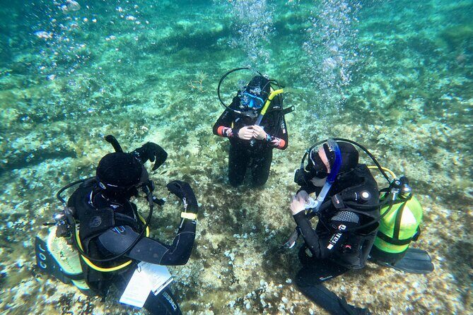 Diving experience in Malta - Gear check and underwater breathing basics (the part that builds confidence)