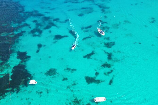 Family Private Boat Trip, Blue Lagoon, Malta, Comino & Gozo - Should You Book This Family Private Boat Trip?