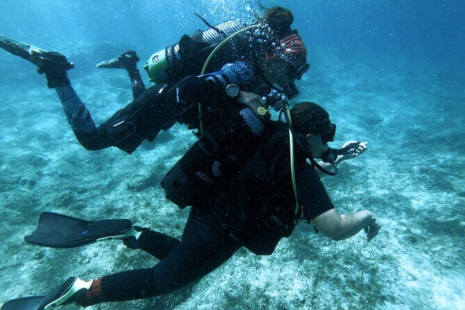 First Experience Scuba Diving - Small-group coaching (max 4): the difference between hope and real help