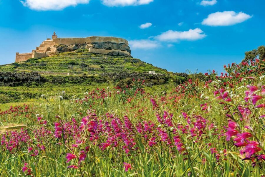 From Malta: Gozo Day Trip Including Ggantija Temples - Xlendi Bay: the seaside reset between ruins and cliffs