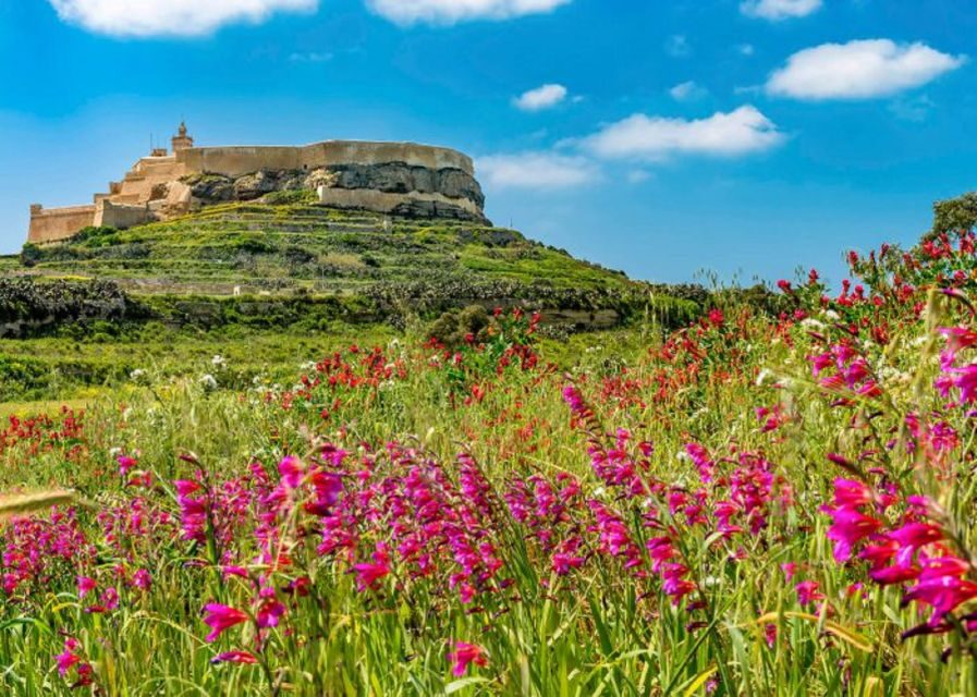 From Malta: Gozo Full-Day Tour with Guide, Temples, & Train - Price and value: is $82 actually fair?