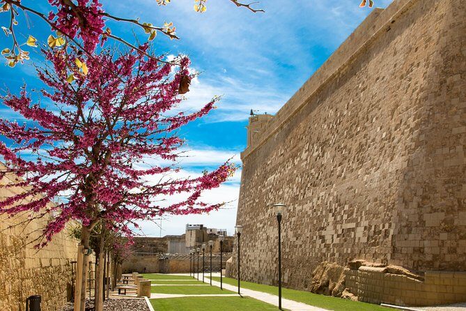 Gozo & Comino Islands, Blue Lagoon & Seacaves Tour - Gozo’s Victoria transfer: what’s included vs what isn’t