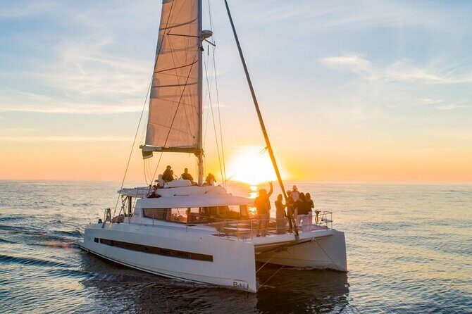 Half Day Scenic Catamaran Experience - Key Highlights Before You Go