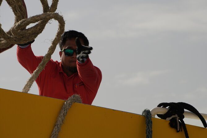 Highspeed Catamaran Crossing Between Malta and Gozo - Pets on the Catamaran: How the Design Helps You Plan