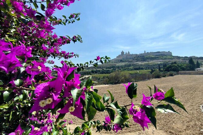 Island Day Tour with a Private Local Driver - Mdina Old City: cathedral, dungeons, and the Mdina Experience (about 2 hours)