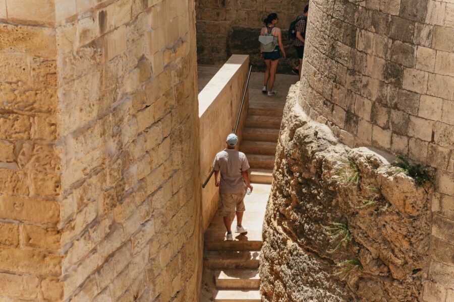 Malta: Gozo & Comino Islands, Blue Lagoon & Seacaves Tour - Onboard Comfort and Fun: Sun Loungers, Waterslide, Showers, and Views