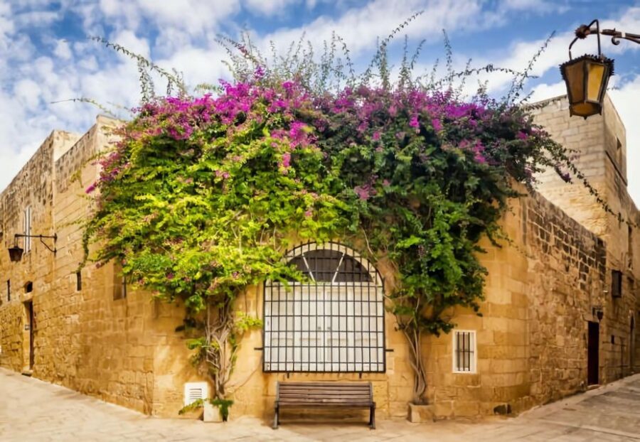 Malta: Mdina, Dingli Cliffs and San Anton Botanical Gardens - Price and Value: Why $41 Can Make Sense