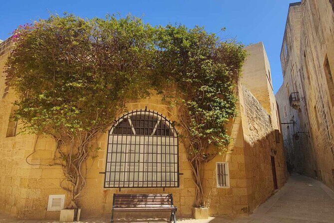 Mdina and Rabat Tour with a local licensed guide - Walking conditions and what moderate fitness really means