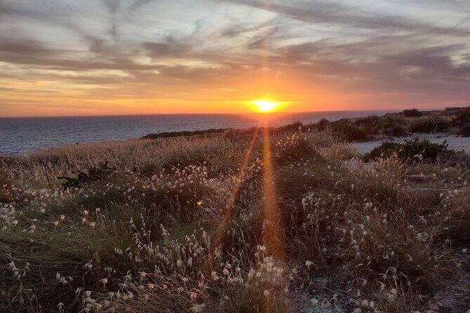 Off-Track Sightseeing to Dingli, Bahrija, Fomm ir-Rih, Rabat & Mdina - Fomm ir-Rih and Bahrija: Off-Track Coast With Time to Breathe