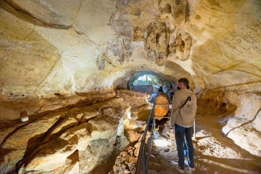 Prehistoric Temples of Malta Tour - Meeting Up and Moving Around: Pickup Times That Control Your Day
