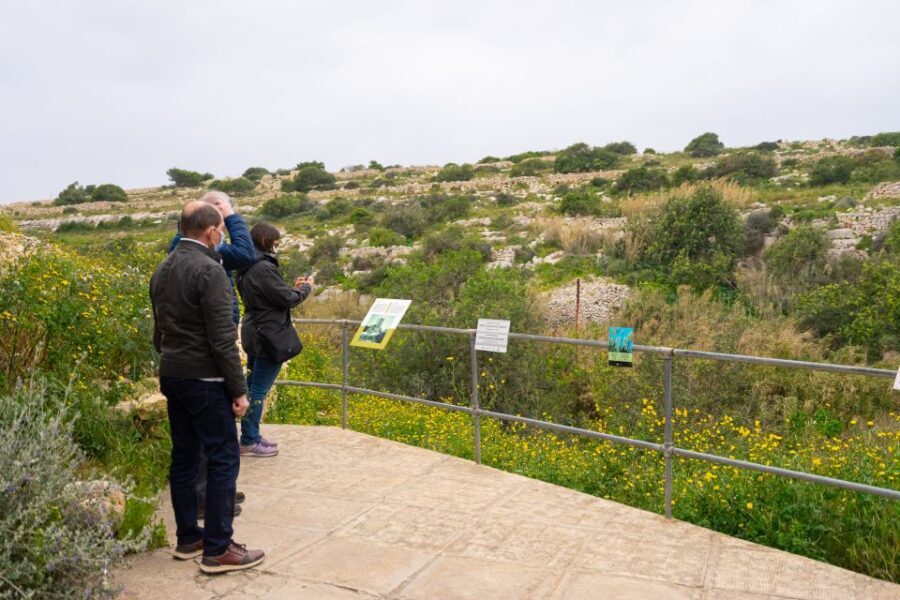 Prehistoric Temples of Malta Tour - How the Guide Changes Everything (Especially on a Short Tour)