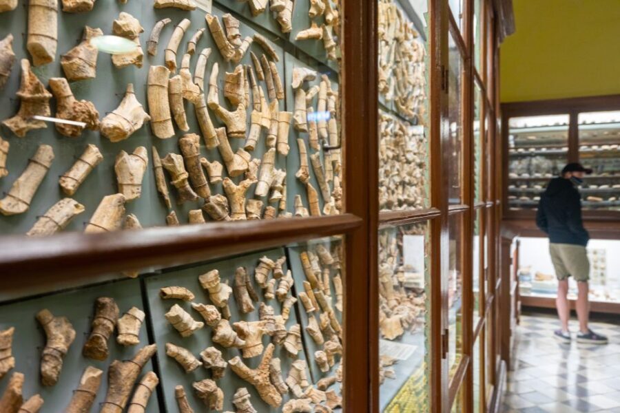 Prehistoric Temples of Malta Tour - Hagar Qim: The Southern Ridge Temple You Can Actually Read