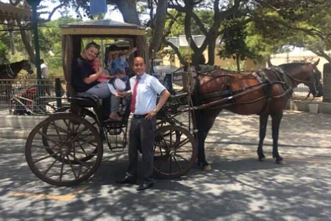 Private Chauffeur Island Tour of Malta and Gozo - How long you have really changes the best way to do this