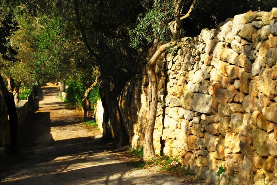 Scenic Tour by Vintage Bus to Buskett Garden & Dingli Cliffs - Dingli Cliffs and St Mary Magdalene Chapel: Malta’s highest viewpoint in motion